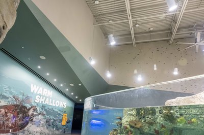 PHOTO_KC Zoo Sealion & Aquarium--10